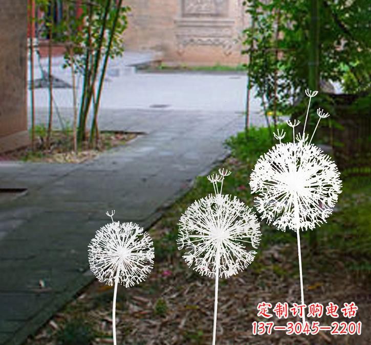 宁德不锈钢蒲公英点亮城市之美