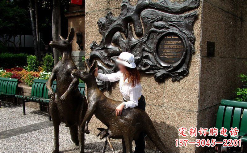 宁德袋鼠雕塑——装点步行街的美丽风景