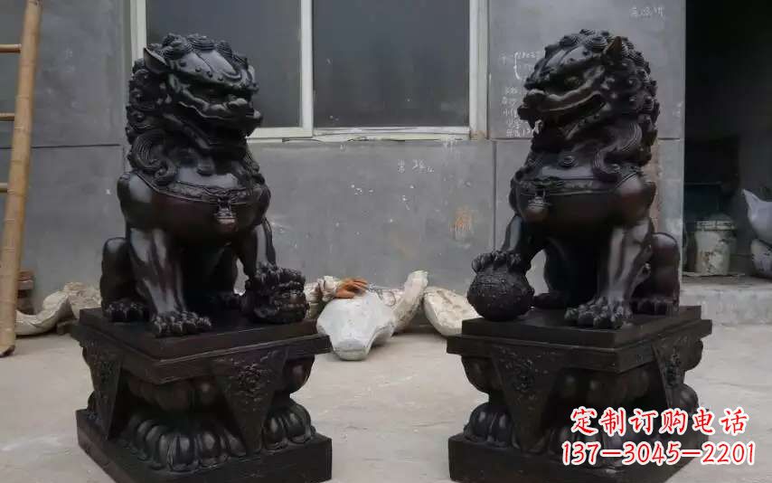 宁德踩球镇的狮子之家