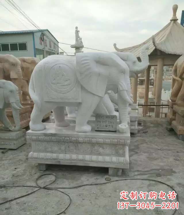 宁德大理石大象——雕塑之美