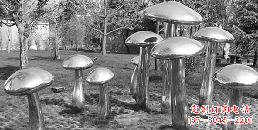 宁德萌芽之美,蘑菇景观雕塑