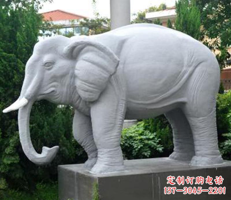 宁德公园动物大理石大象石雕 (5)