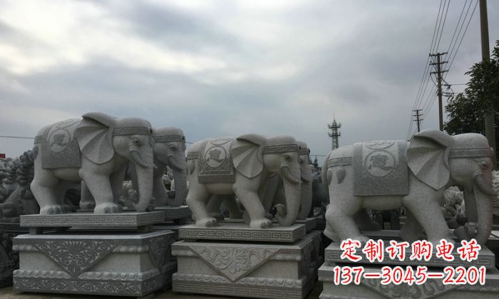 宁德 杰出的大象雕塑