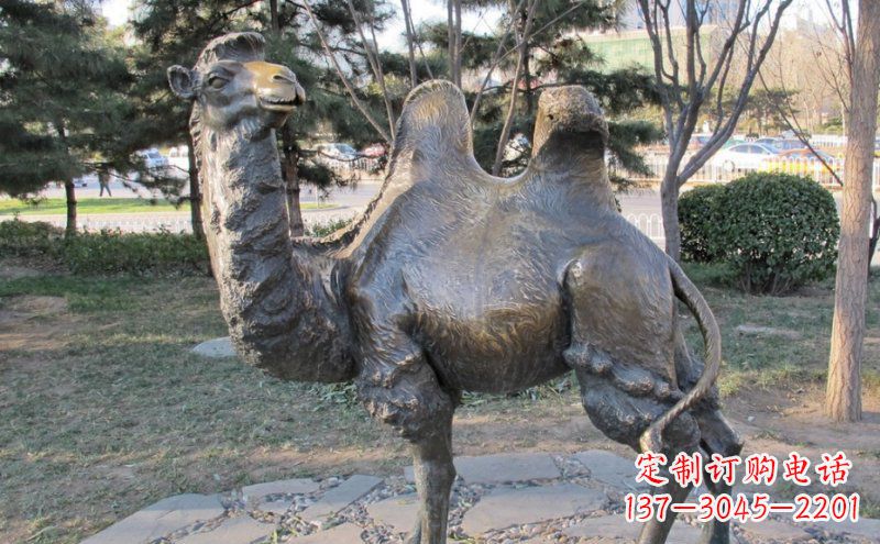 宁德铜骆驼雕塑——浓缩自然美丽