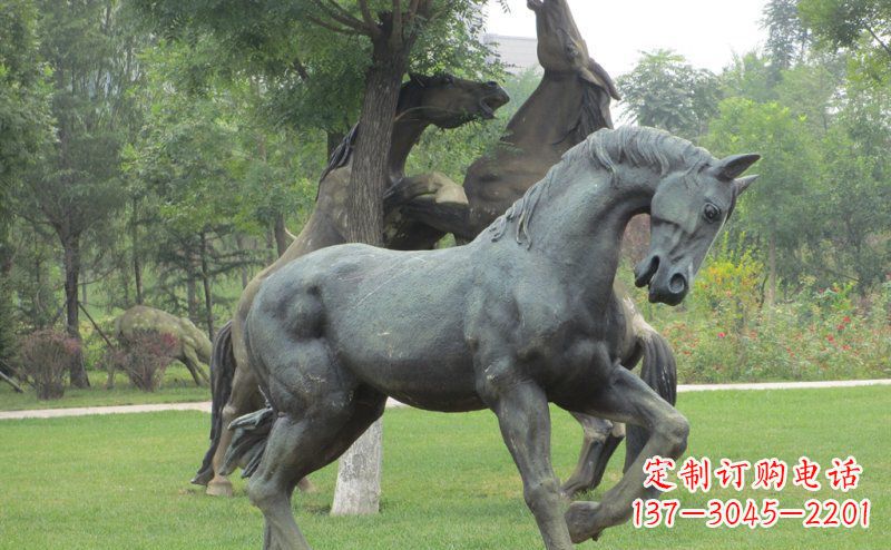 宁德公园马动物景观铜雕 (2)