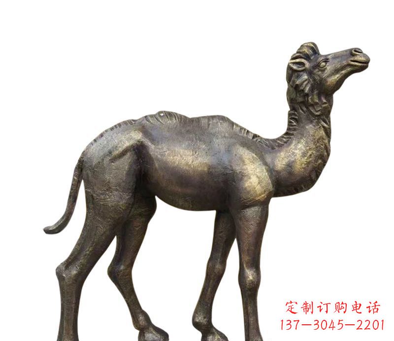 宁德奇美洁净的骆驼铜雕