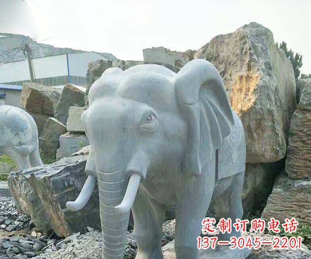 宁德广场景观大理石大象石雕 (2)