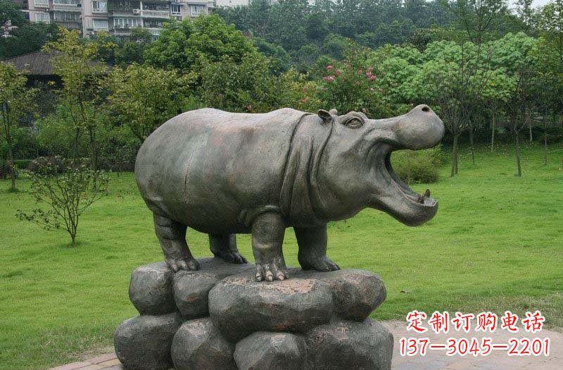 宁德海洋动物河马铜雕塑
