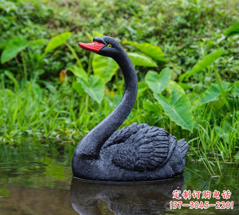 宁德黑天鹅仰脖款-园林水塘水景装饰动物摆件