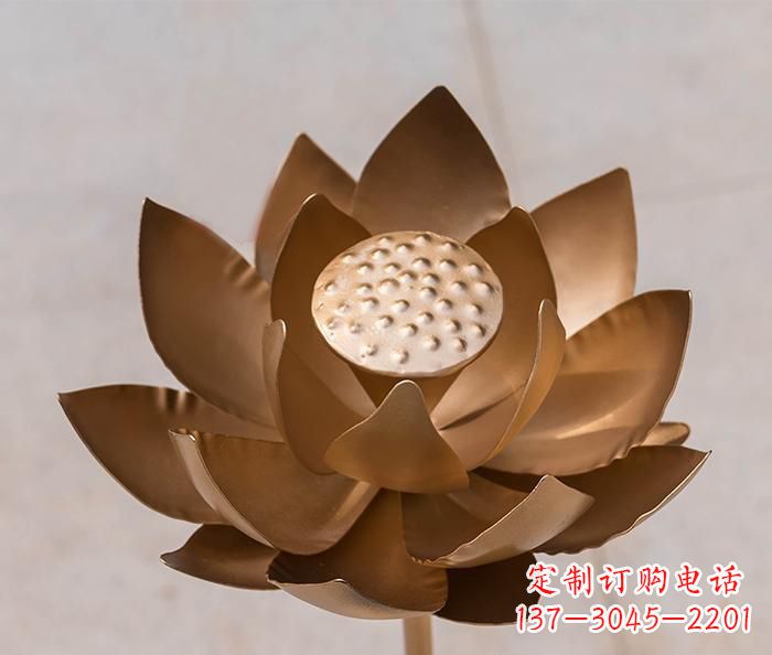 宁德铜雕景观荷花
