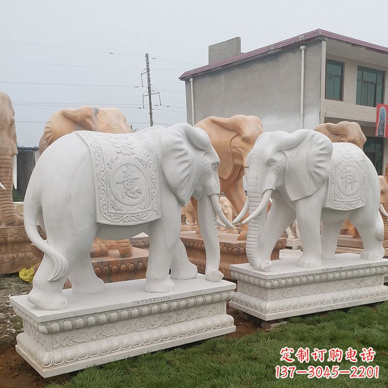 宁德学校石雕大象